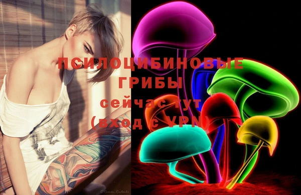 ECSTASY Михайлов
