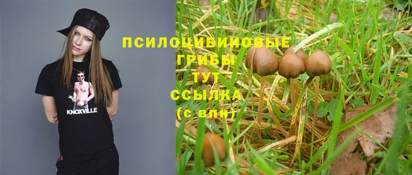 MESCALINE Михайловск