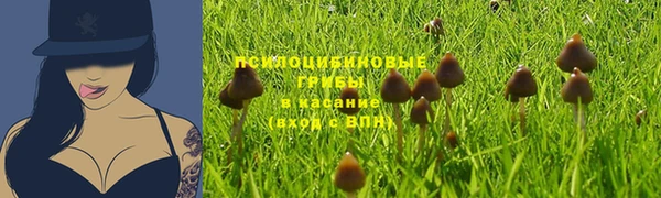 ECSTASY Михайлов